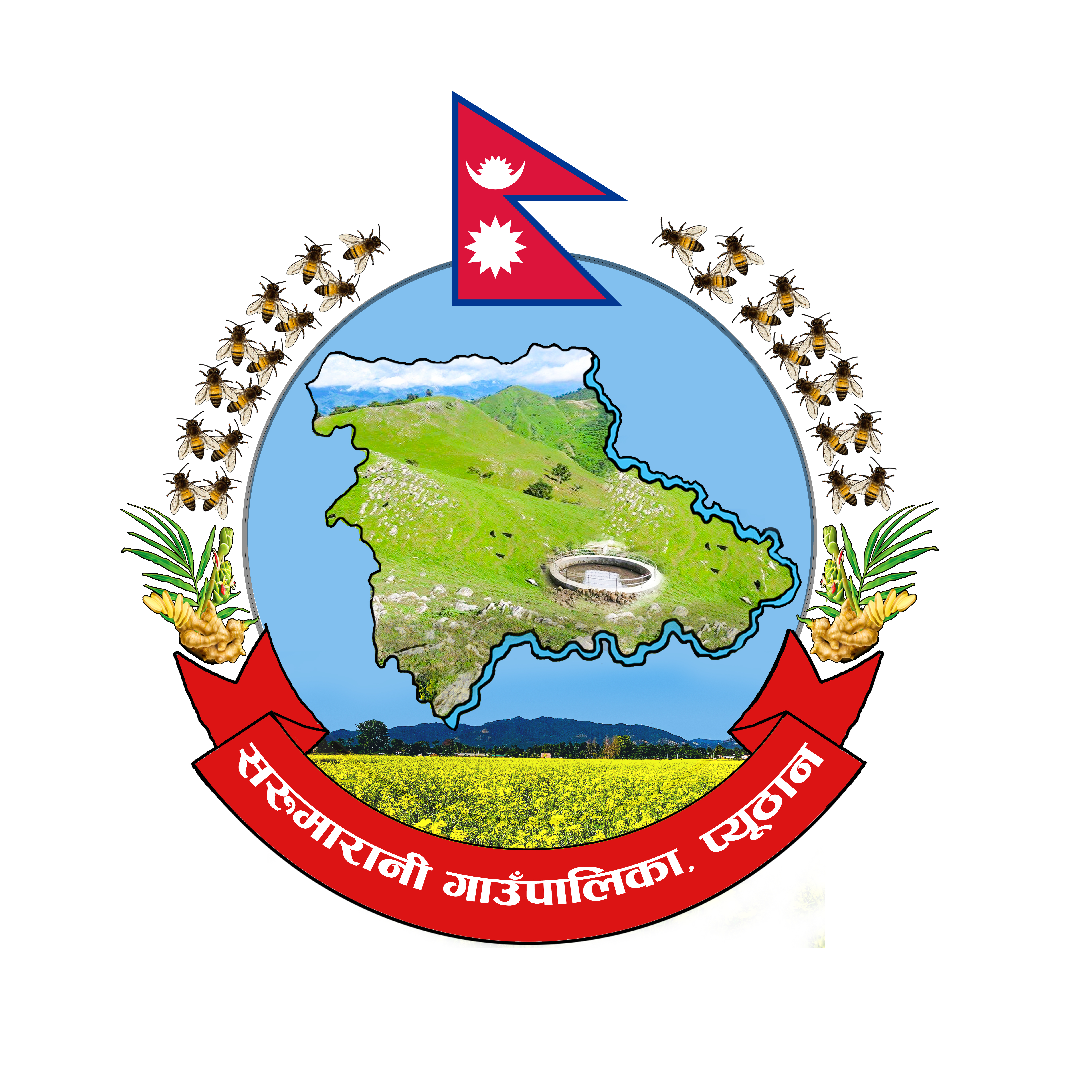 Local Government Logo